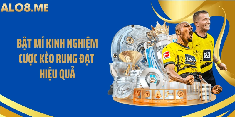 Bật mí kinh nghiệm cược kèo rung đạt hiệu quả