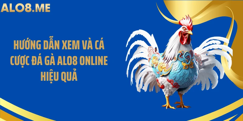 Hướng dẫn xem và cá cược đá gà ALO8 online hiệu quả