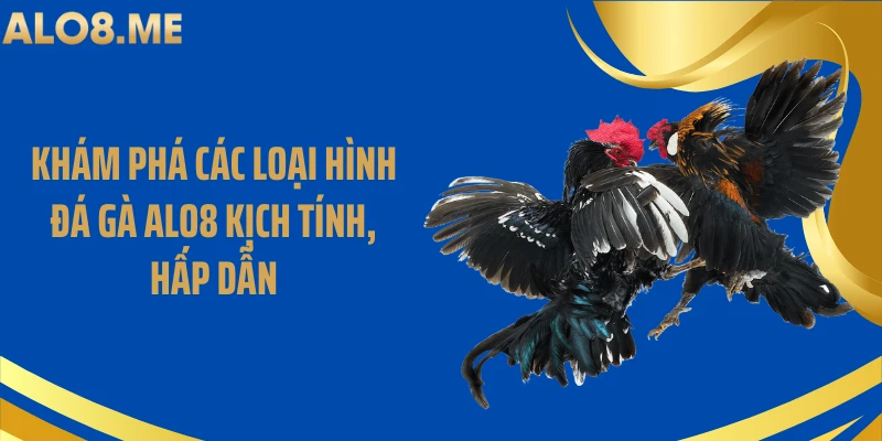 Khám phá các loại hình đá gà ALO8 kịch tính, hấp dẫn