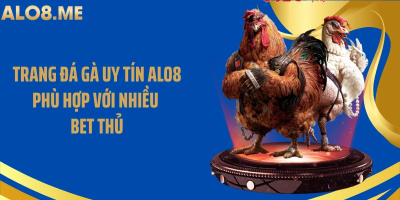 Trang đá gà uy tín ALO8 phù hợp với nhiều bet thủ